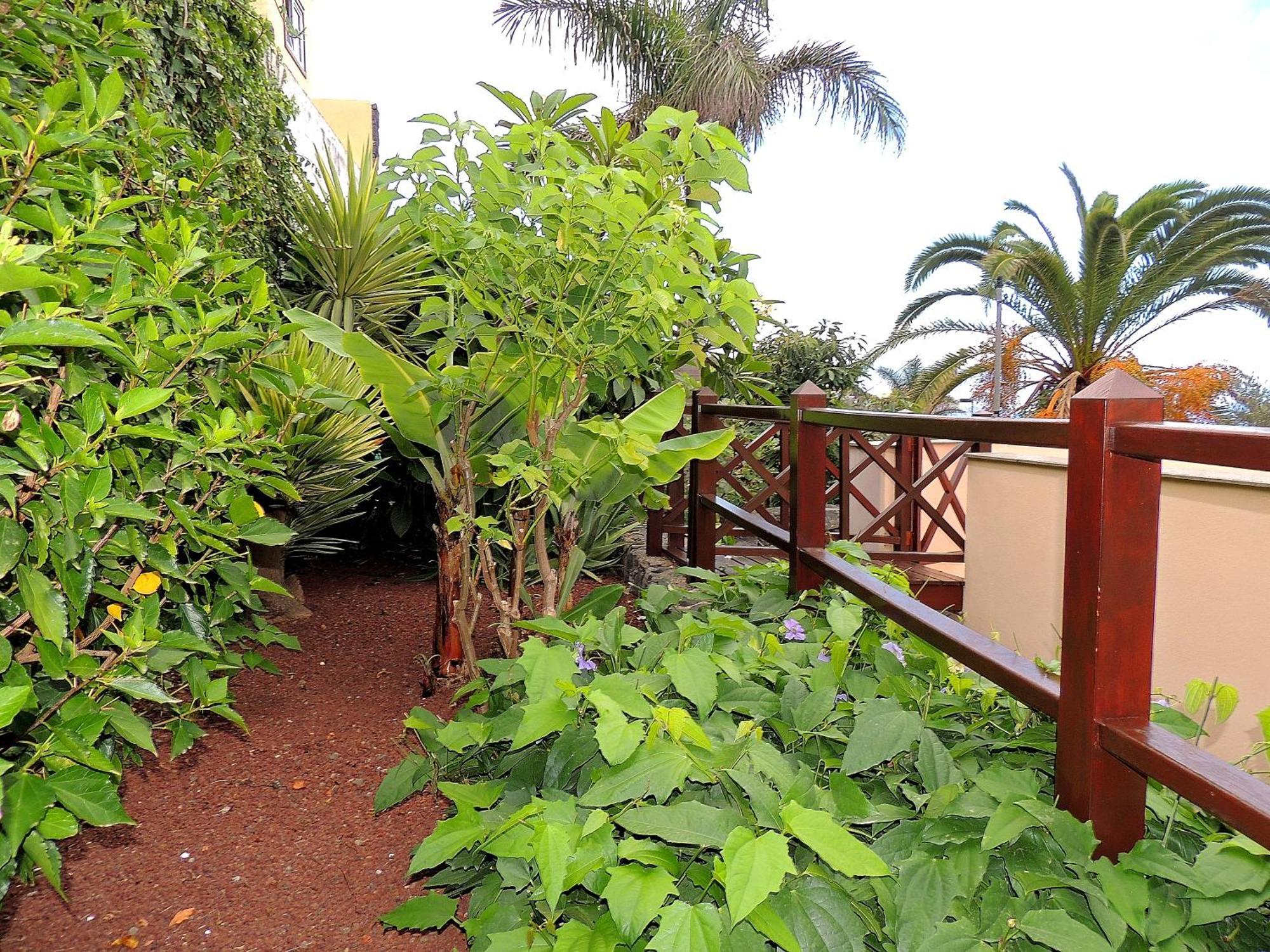 Apartamento Mar Y Teide ساوزال المظهر الخارجي الصورة